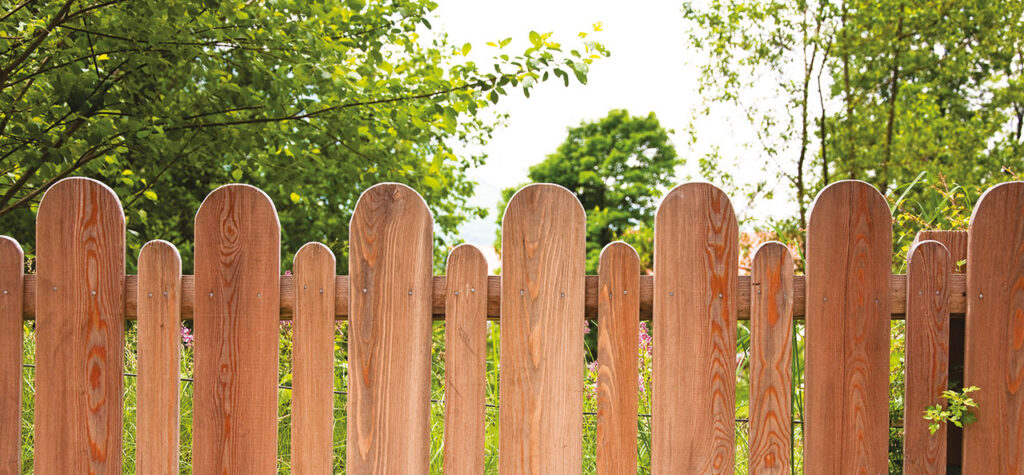 Vernici per legno